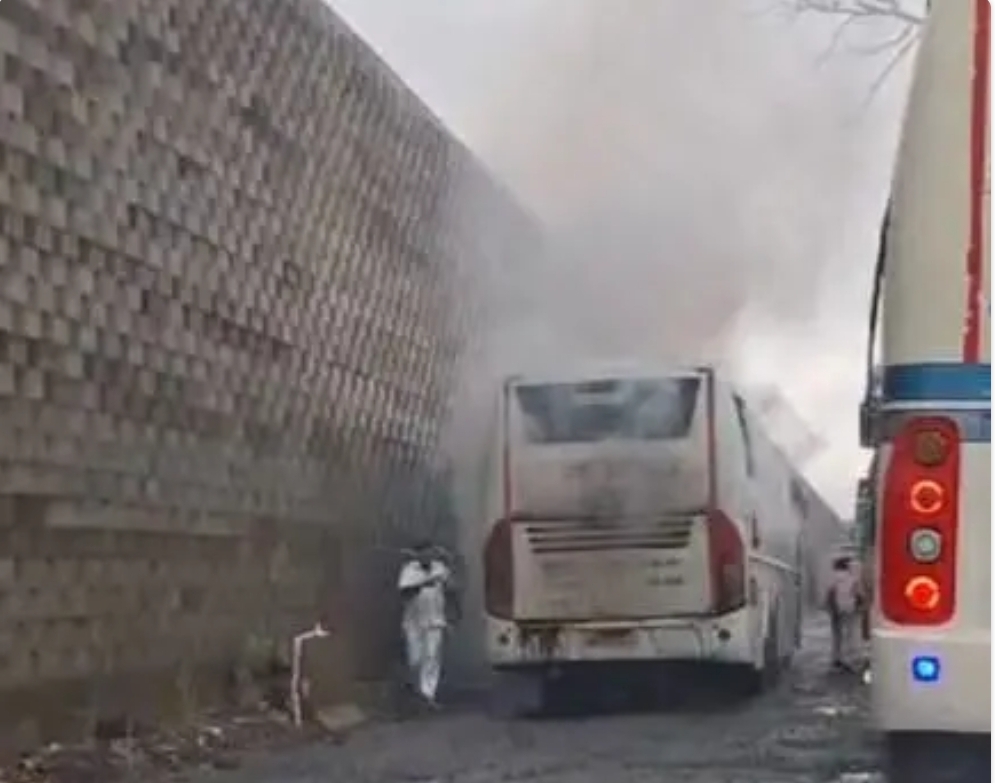 image_editor_output_image220231942-1721280156836