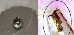 image_editor_output_image437396503-1720268571113