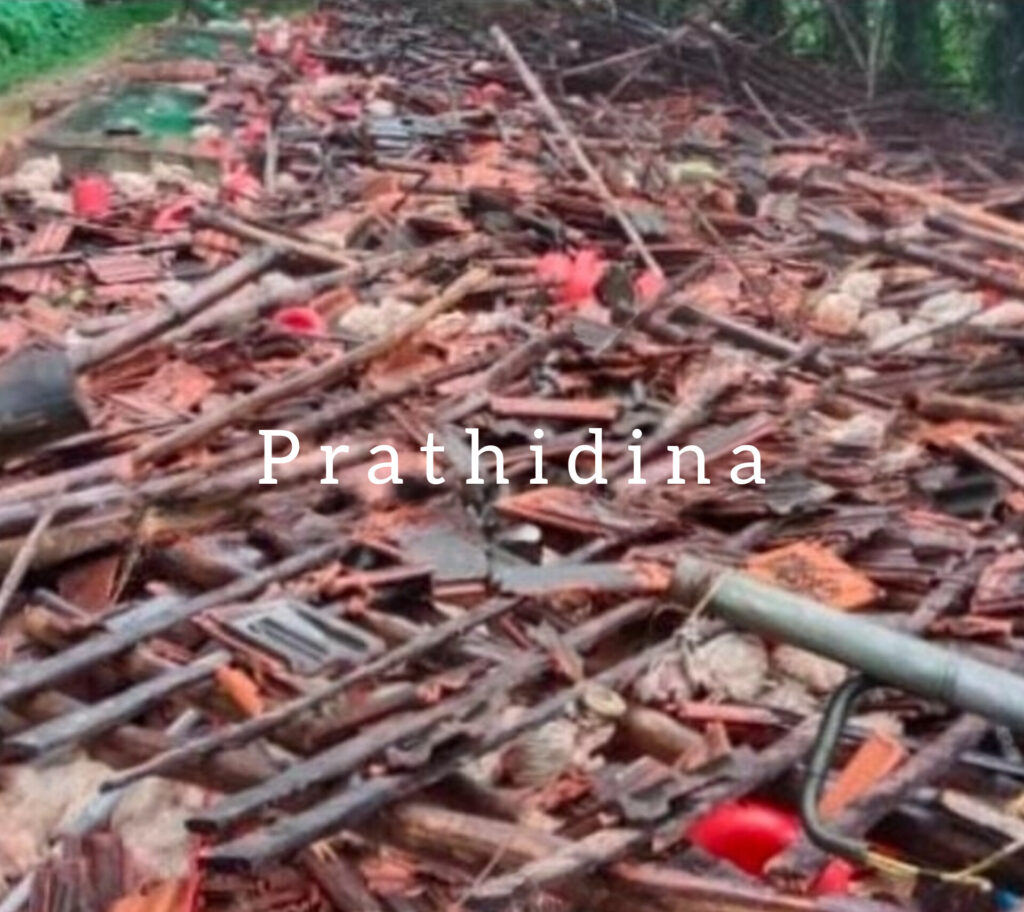 image_editor_output_image481292646-1721377654024