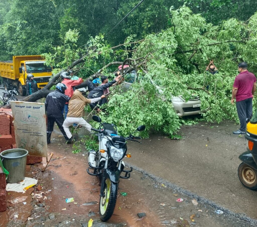 image_editor_output_image529959663-1720248414862