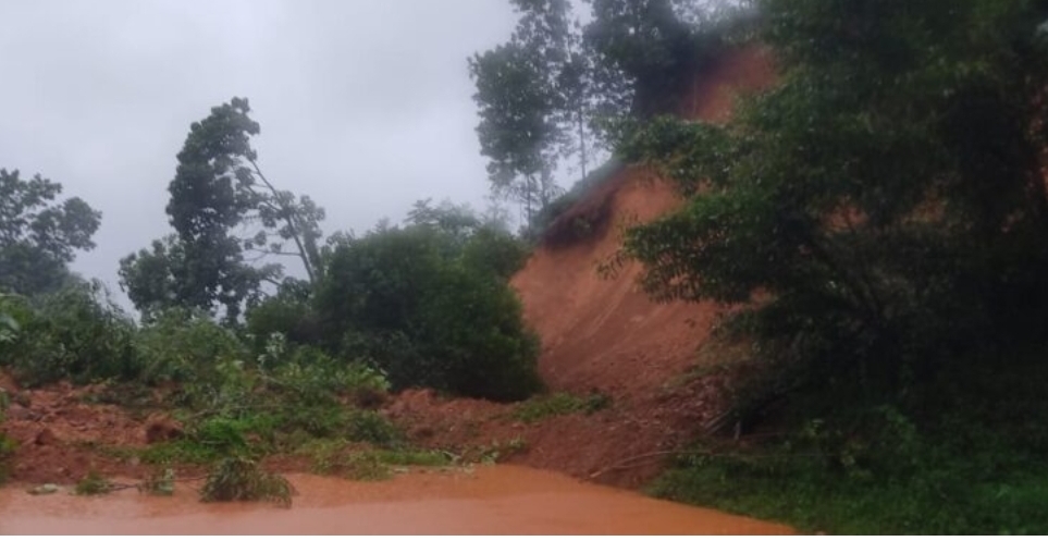 image_editor_output_image-1417268680-1722570226130