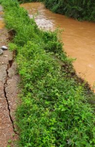 image_editor_output_image-490580559-1724729994589