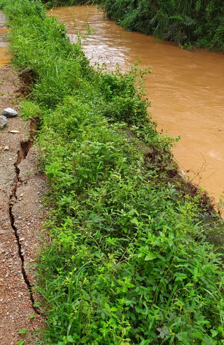 image_editor_output_image-490580559-1724729994589