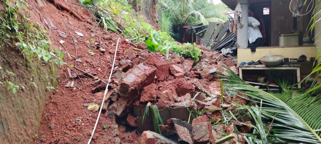 image_editor_output_image-728558574-1724736266433