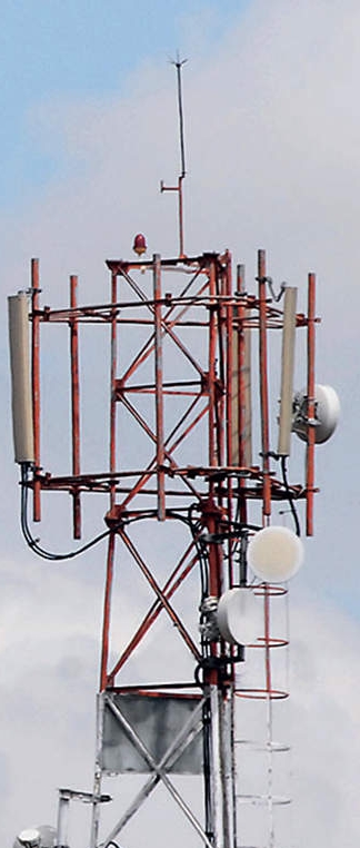 image_editor_output_image-1098769297-1729755190022