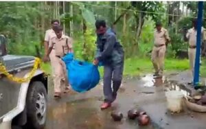 image_editor_output_image-1983330526-1728880877755