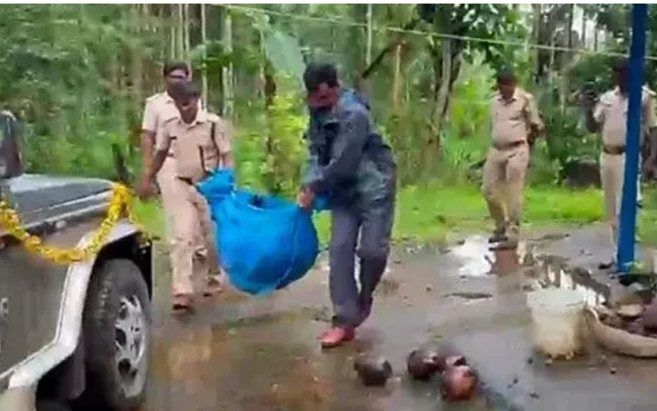 image_editor_output_image-1983330526-1728880877755