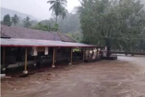 image_editor_output_image-705142004-1729480004730