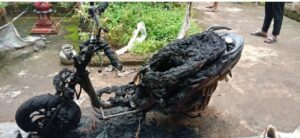 image_editor_output_image-822399204-1729268752698