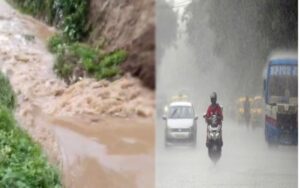 image_editor_output_image-981105345-1729753986610