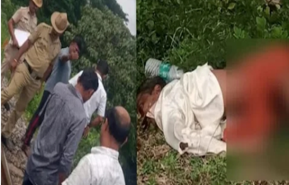 image_editor_output_image-991387942-1729757747725