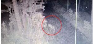 image_editor_output_image1116535037-1729746090827