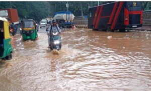 image_editor_output_image1408997410-1729706517821