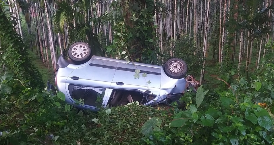 image_editor_output_image262442853-1728895278112