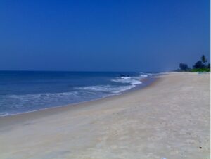 image_editor_output_image667932091-1729666418896