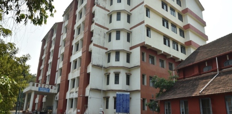 image_editor_output_image-497257857-1732555302990