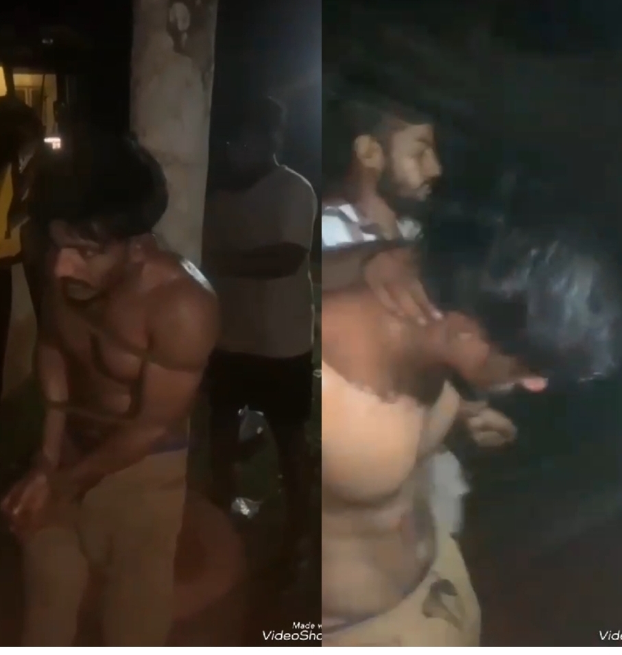 image_editor_output_image-798348582-1731259610564