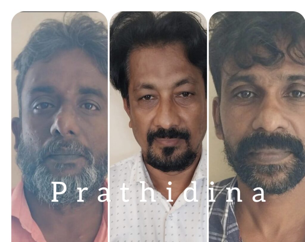 image_editor_output_image1604512484-1732460550475