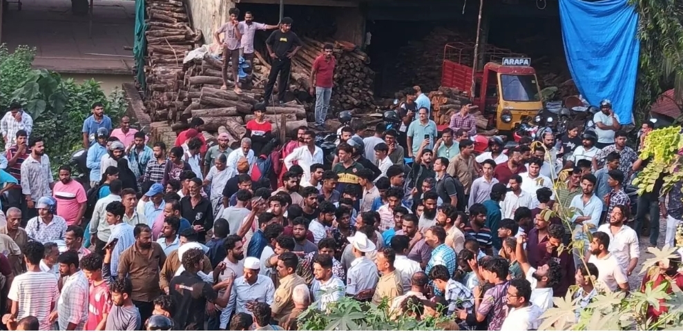 image_editor_output_image1701969910-1731168098834