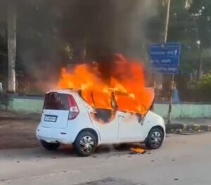 image_editor_output_image291870472-1731676001629