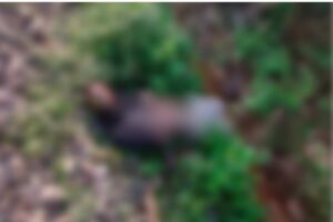 image_editor_output_image-1974675169-1734413423303