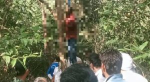 image_editor_output_image523664532-1734240210776