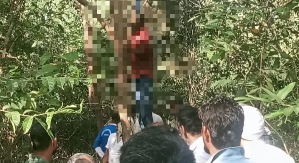 image_editor_output_image523664532-1734240210776