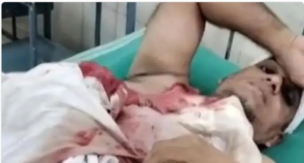 image_editor_output_image-1811571486-1736672714007