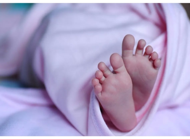 image_editor_output_image-247420192-1744802576803