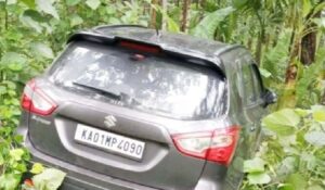 image_editor_output_image-1159163749-1747648882137