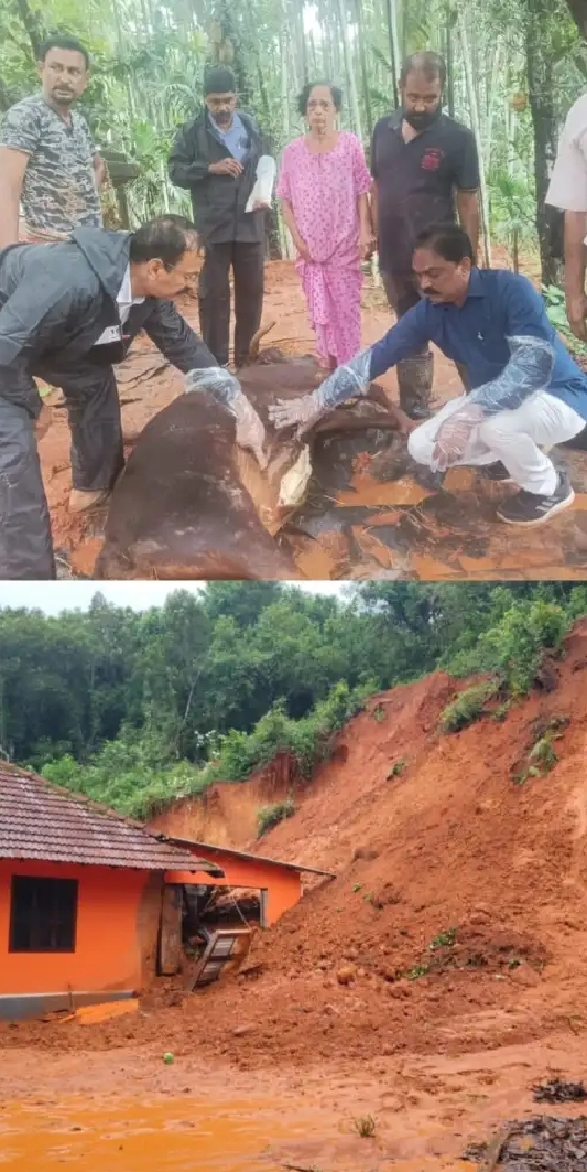 image_editor_output_image-1557835935-1748671349770