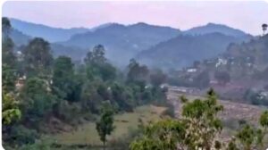 image_editor_output_image-1660809427-1746595303676