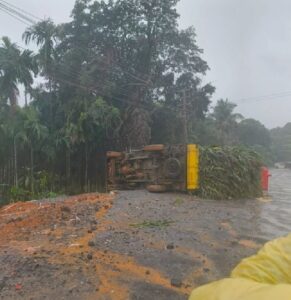 image_editor_output_image-1749733228-1748247237807