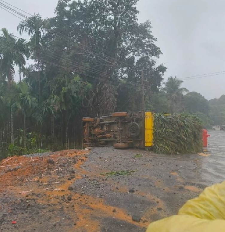 image_editor_output_image-1749733228-1748247237807