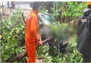 image_editor_output_image-245745721-1748351976552