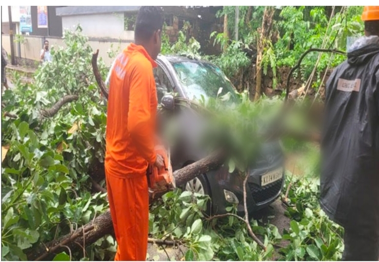 image_editor_output_image-245745721-1748351976552