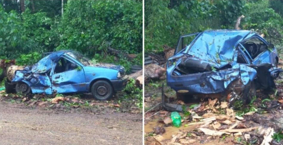 image_editor_output_image282377016-1748322409950