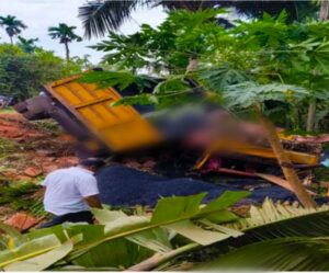 image_editor_output_image364693946-1747332216212