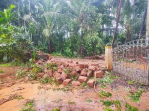 image_editor_output_image500995024-1748264341112