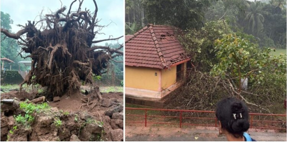 image_editor_output_image518661659-1748623671606