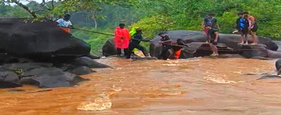 image_editor_output_image864844537-1748245204260