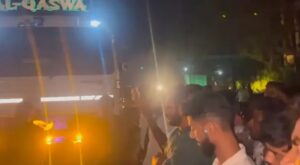 image_editor_output_image-256419435-1750482347935