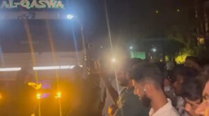 image_editor_output_image2091814512-1748958592530