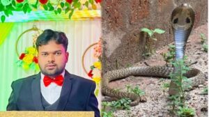 image_editor_output_image342136668-1748968655549