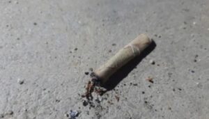 image_editor_output_image777985398-1750144023890