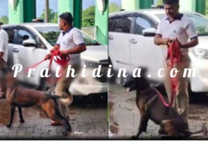 image_editor_output_image1195008314-1753794015690