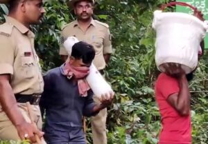 image_editor_output_image-660258166-1754316203782