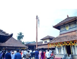 image_editor_output_image1393051294-1768382758523