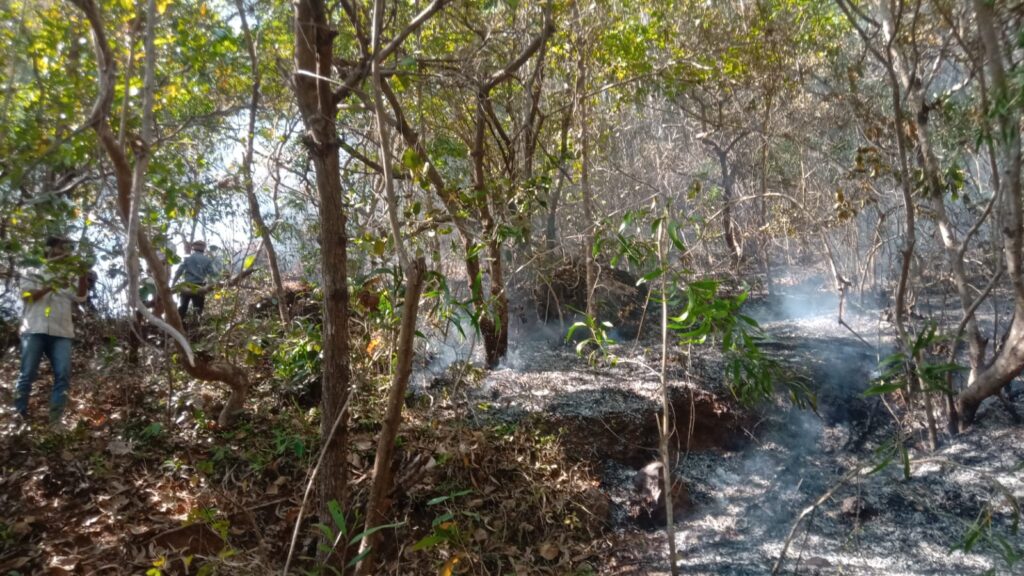 image_editor_output_image-1612451280-1770374223325