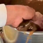 ಪಾನಿಪುರಿ ಮಸಾಲಾ ಪಾತ್ರೆಯಲ್ಲಿ ಜೀವಂತ ಇಲಿ ಪತ್ತೆ: ವಿಡಿಯೋ ಸಾಮಾಜಿಕ ಜಾಲತಾಣಗಳಲ್ಲಿ ವೈರಲ್